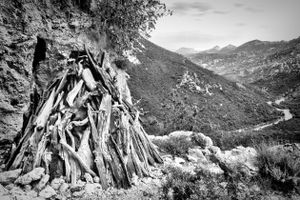 From Genna Silana to Gole Su Gorropu, July 2014