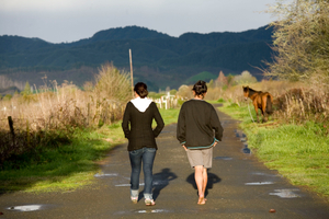 Te Rangitaiki