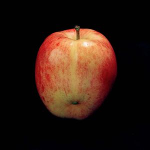 Detail from Genetic Traits (Lot 4135), 2003, chromogenic prints, Edition of 3 © Cynthia Greig