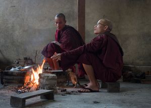 the burmese monks