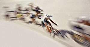 Speed