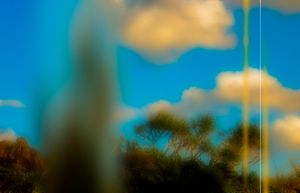 Landscape-004