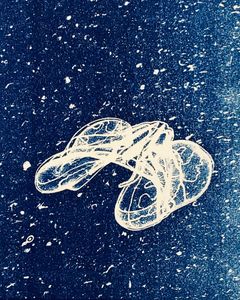 Ctenophore (Flip Flops)