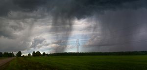 Rain
