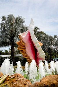 Sad Tropics (Conch Shell)