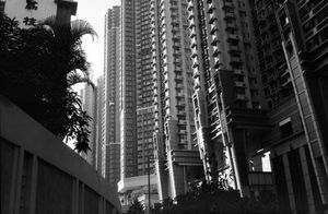 "Lai Chi Kok"