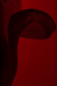 Untitiled#4