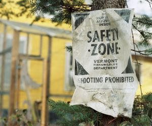 Safety Zone                                                      © Selena Salfen