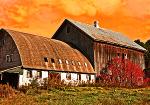 Unused Barns-           Oneonta, NY   Otsego County.
