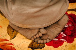 Wandering Mendicant