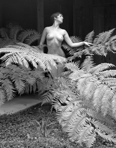 Nymph Among the Ferns