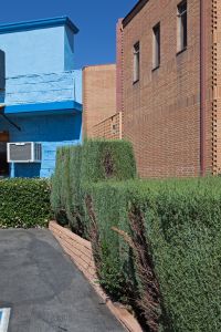 Blue Wall, Brick Wall, Foothill Blvd, La Crescenta
