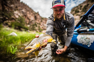 Gunnison Gold