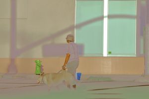 WALK THE DOG