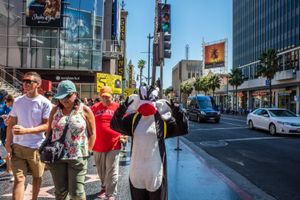 Hollywood Boulevard