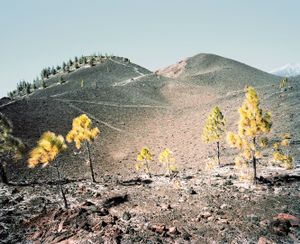 El Teide, view #15