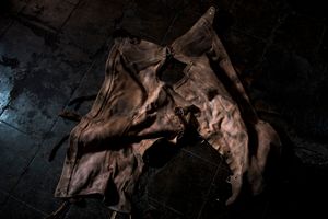 Trail of  skin