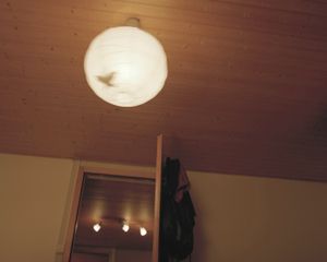 L'oiseau de ma lampe