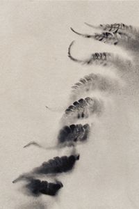 JILIN