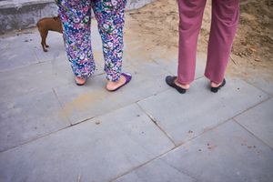 Legs