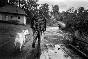 Potato shepheard. Siklód, Romania, 2009
