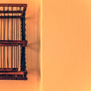 The cage. / La gabbia.