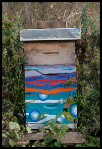 Bee Hive