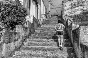 Escalinata de Calle 6, 2011