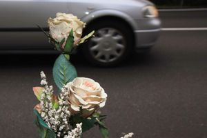 Fiori recisi