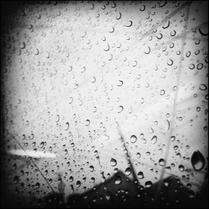 Rain, Oslo #13
