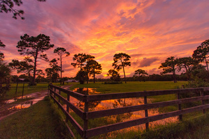 Sunset at Nail Farms