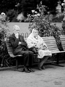 Odd Couple sitting on a bench in Priory Park, London