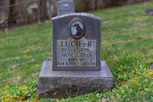Lucifer, Sheabel Pet Cemetery, Lexington, KY
