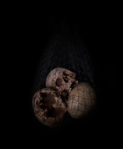 memento mori