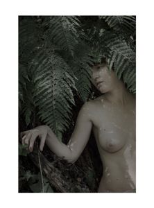 Leaves of Grass - The body electric", 2017