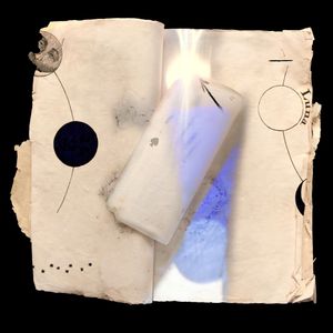 Opposites © Olivia Parker, 2008