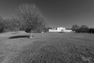 Hampstead Heath | 15