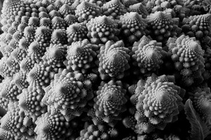 romanesco cauliflower