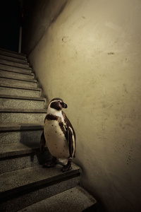 I don't go more down