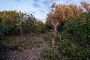 Vendicari natural reserve, September 28, 2019