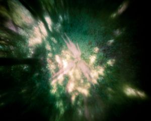 untitled, 2013; archival pigment print from large frormat pinhole negative   © DM Witman