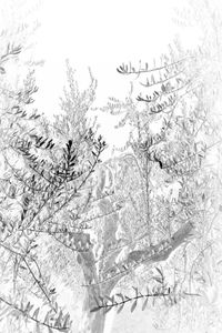 Old as Cold Water 8