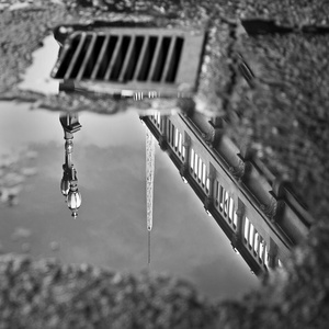 Princes Bridge Reflected