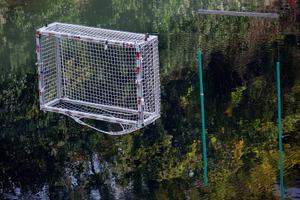 GOALS - ON WATER IV
