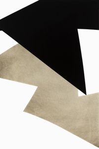 Shades 58