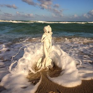 THE VENUS PROJECT