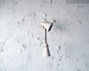 5. Pripyat. The forest grounds.