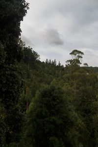 Untitled 8