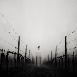 There Can No Outer Wine