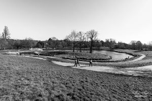 Hampstead Heath | 28